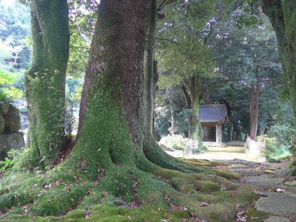 高源寺四脚門と参道