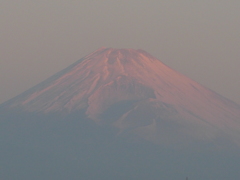 2018年　元旦の富士山