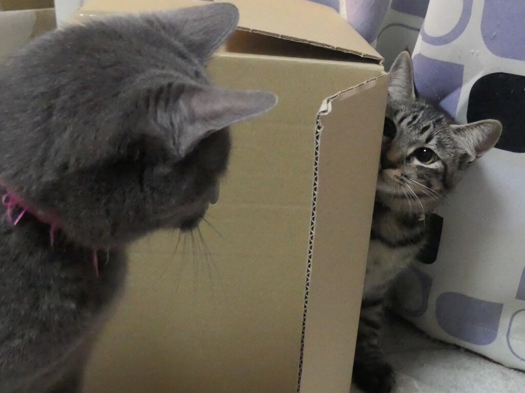 P1080813 (2)　…あの～…