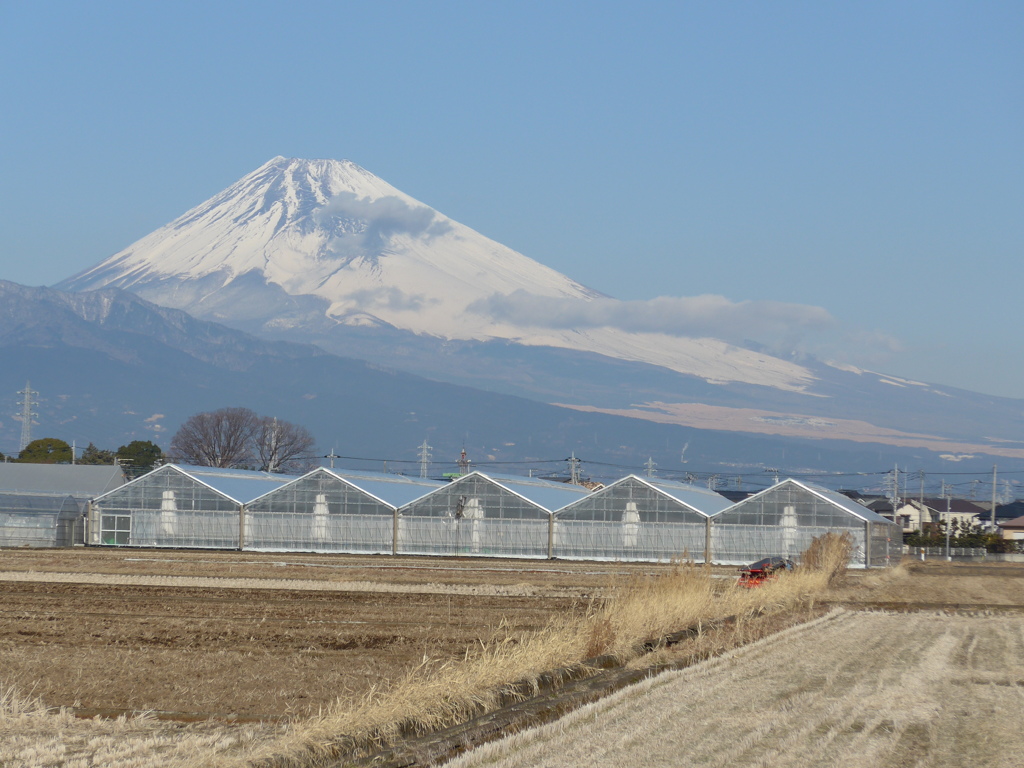 P1070186　１月31日 今日の富士山