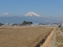P1060919　１月16日 今日の富士山