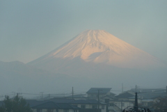 P1190108 11月12日 霧の朝に P1190108 11月12日 霧の朝に