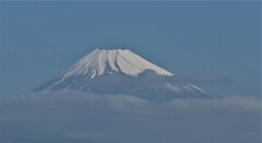 P1260938 (2)　4月23日 今朝の富士山
