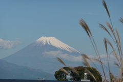 P1023160　11月16日 今日の富士山