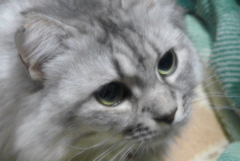 P1060853　あのね…