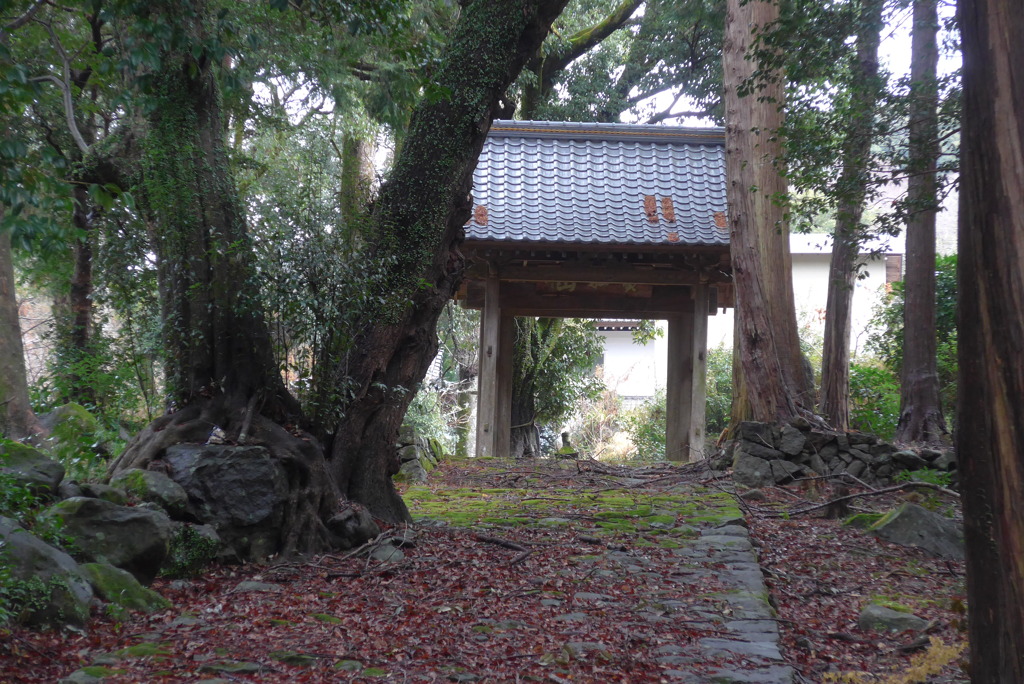 P1370650　伊豆高源寺山門