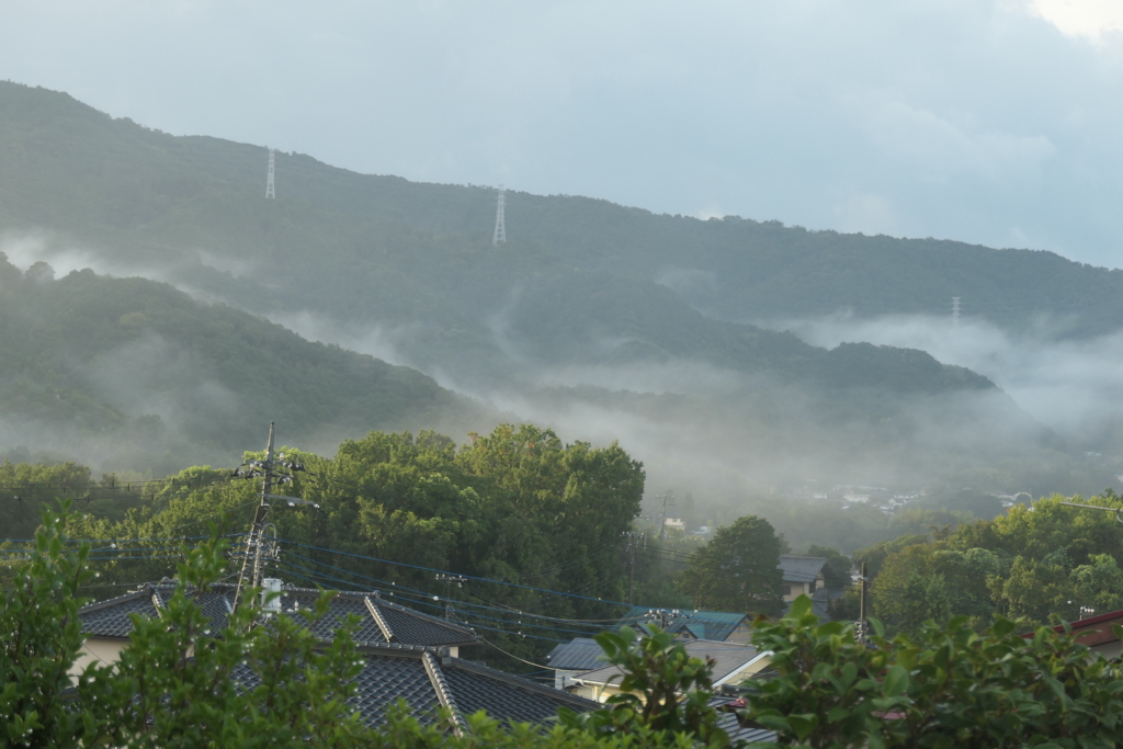P1069145　雨上がりの朝