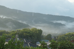 P1069145　雨上がりの朝