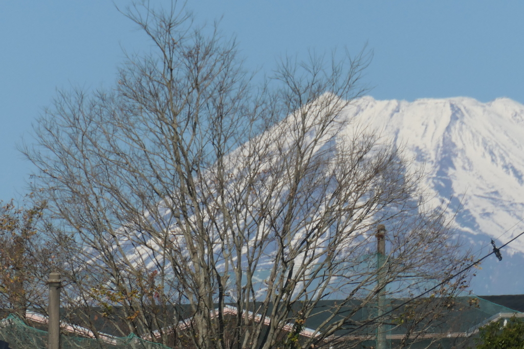 P1034854　12月10日 今日の富士山