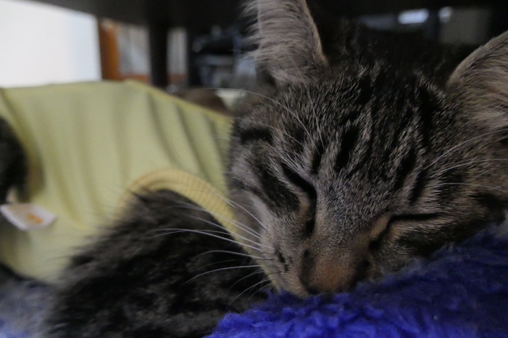 P1080936　お疲れさん