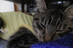 P1080936　お疲れさん