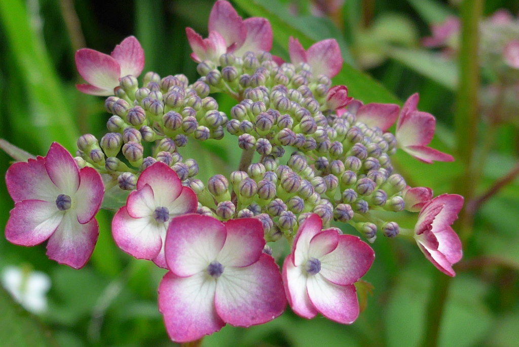 P1090538　かわいい♪