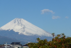 P1370275　1月10日 今日の富士山