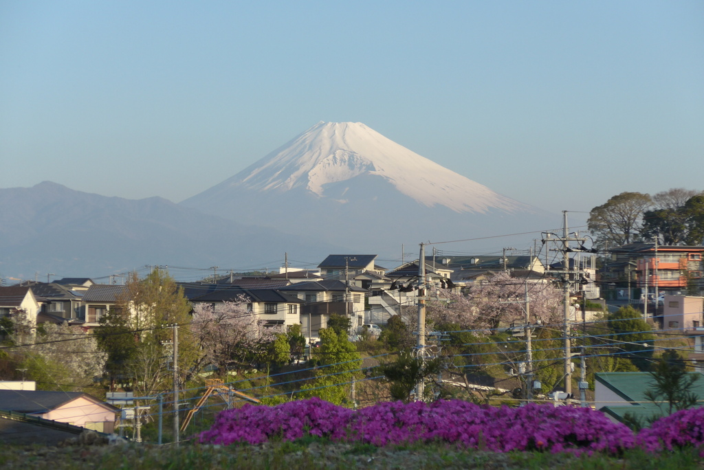 P1210628　4月9日 今朝の富士山