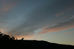 P1023246　朝焼け雲