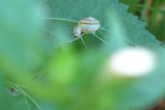 ボクが小さいんです。