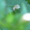 ボクが小さいんです。