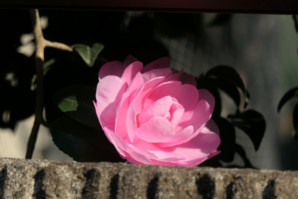 P1023126　あったかいね