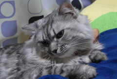 …ん…そこそこ…