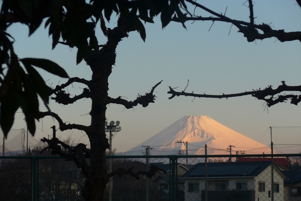 P1210139　3月24日 6時12分の富士山