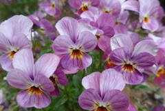 P1080456　おしゃべり ♪