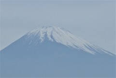 P1280798 (2)　11月18日 今日の富士山