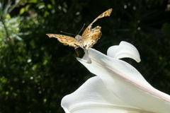 P1024327　・・・
