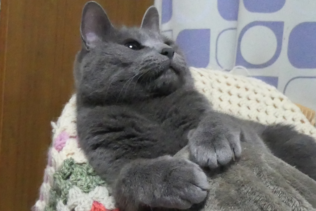 P1023685　あのね…