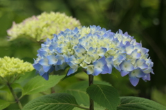 P1080195　始まりの時