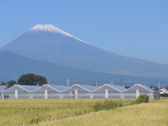 きょうの富士山
