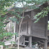 P1035036　大仁神社で。