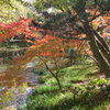 秋色の公園