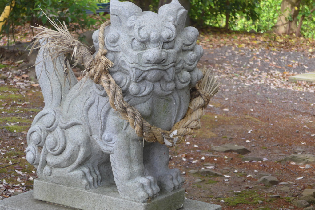 P1220782　小さな神社の狛犬さん