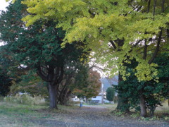 散歩道