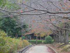 とある公園