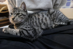 P1081014　ニャン～♪