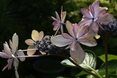P1080557　終章