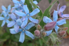 P1150790　静かな想い