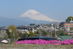 P1290879　4月8日 今朝の富士山