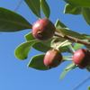 P1034535　