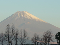 今朝の富士山