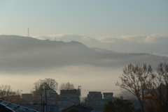 P1190563　ある朝の風景