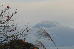 P1370090　11月16日 今朝の富士山