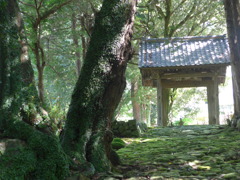 高源寺四脚門