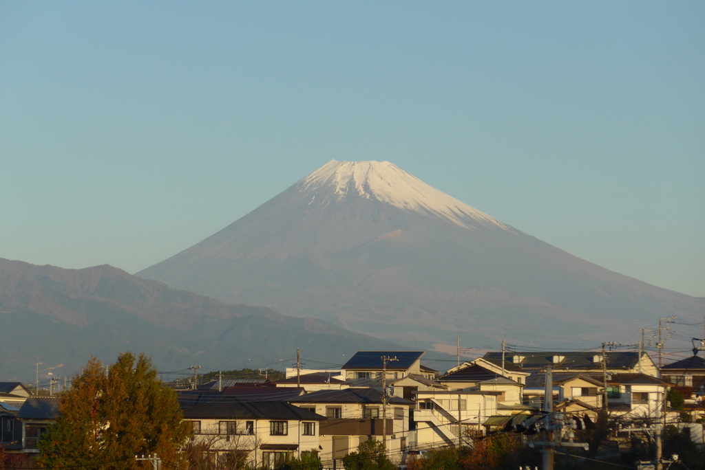 P1280826　11月26日 今朝の富士山