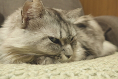 P1190606　眠くなりました…