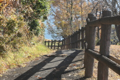 P1057333　晩秋の散歩道