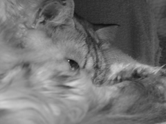 P1070091　眠い…
