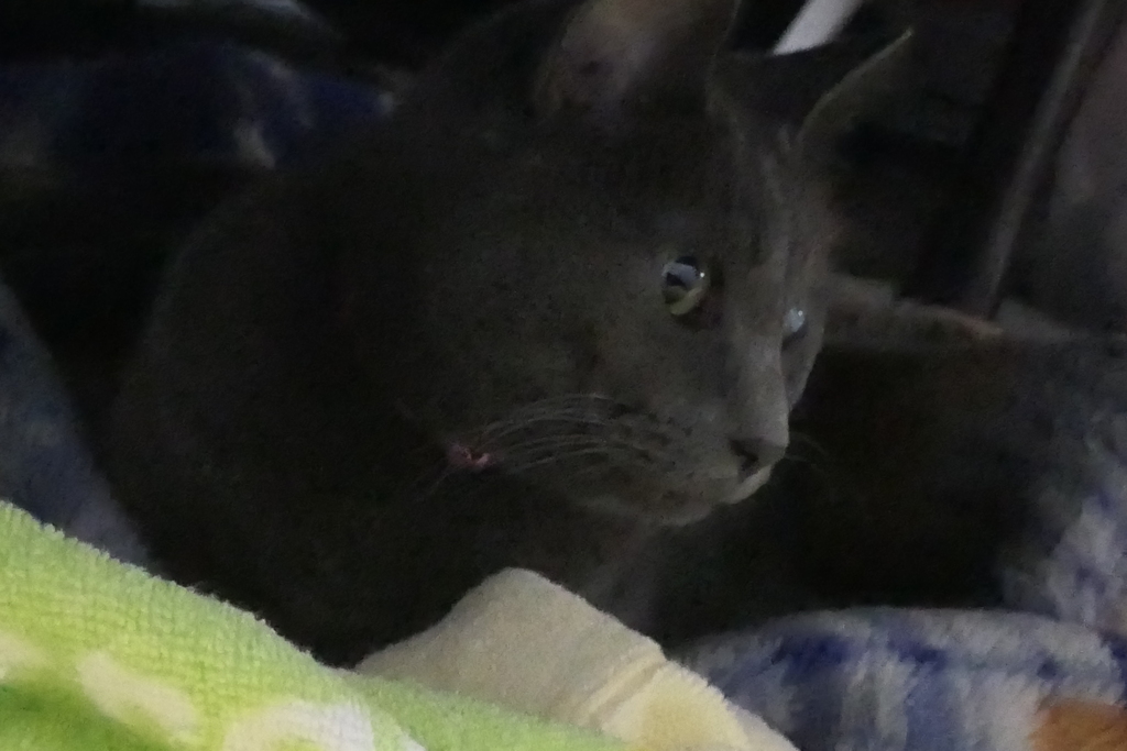 P1046792　お目覚め