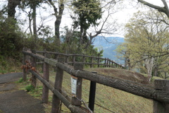 P1035408　